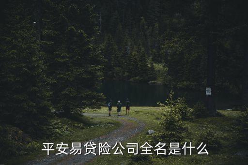  平安易貸險公司全名是什么