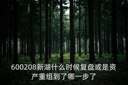 600208新湖什么時候復盤或是資產(chǎn)重組到了哪一步了