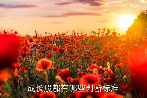 成長股都有哪些判斷標(biāo)準(zhǔn)