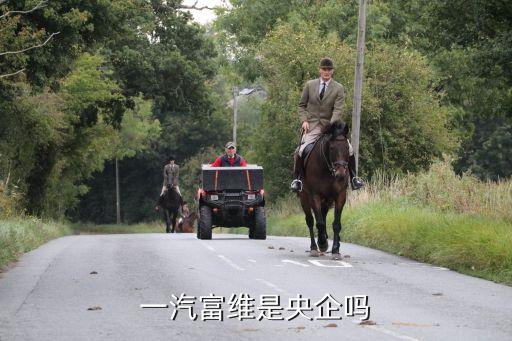 汽車零部件股份有限公司,一汽富維東陽(yáng)汽車零部件股份有限公司