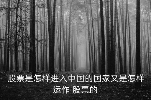  股票是怎樣進(jìn)入中國的國家又是怎樣運(yùn)作 股票的