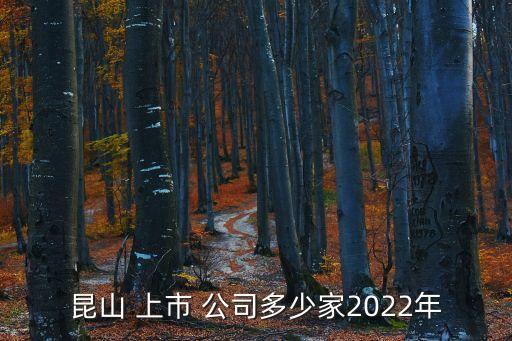 昆山 上市 公司多少家2022年