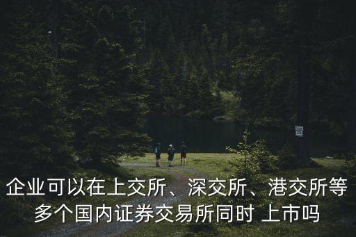 企業(yè)可以在上交所、深交所、港交所等多個國內(nèi)證券交易所同時 上市嗎