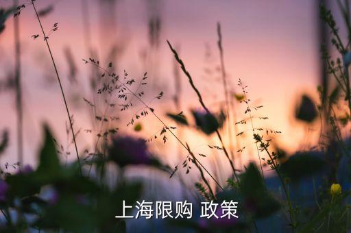  上海限購(gòu) 政策