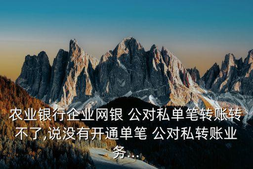 農(nóng)業(yè)銀行企業(yè)網(wǎng)銀 公對(duì)私單筆轉(zhuǎn)賬轉(zhuǎn)不了,說(shuō)沒(méi)有開(kāi)通單筆 公對(duì)私轉(zhuǎn)賬業(yè)務(wù)...