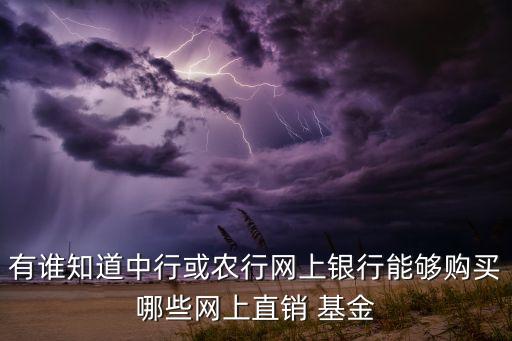 有誰知道中行或農(nóng)行網(wǎng)上銀行能夠購買哪些網(wǎng)上直銷 基金