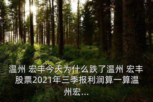 溫州 宏豐今天為什么跌了溫州 宏豐 股票2021年三季報(bào)利潤(rùn)算一算溫州宏...