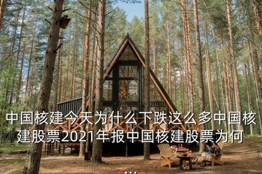 中國(guó)核建今天為什么下跌這么多中國(guó)核建股票2021年報(bào)中國(guó)核建股票為何...