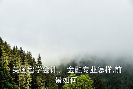  英國留學(xué)會(huì)計(jì)、 金融專業(yè)怎樣,前景如何