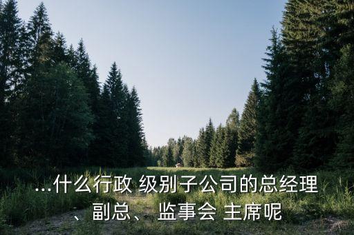 ...什么行政 級(jí)別子公司的總經(jīng)理、副總、 監(jiān)事會(huì) 主席呢