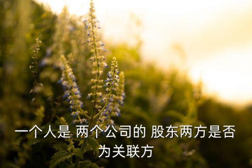 同一個人可否在同行業(yè)的兩個公司做股東