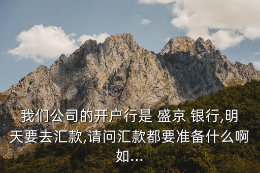 我們公司的開戶行是 盛京 銀行,明天要去匯款,請問匯款都要準備什么啊如...