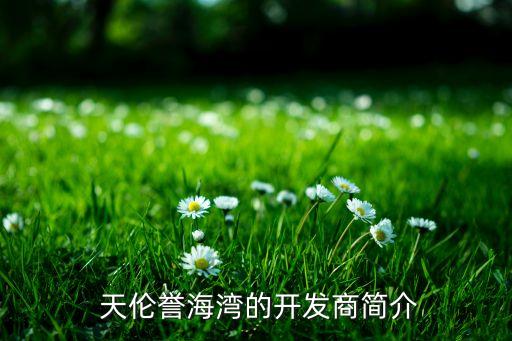  天倫譽(yù)海灣的開(kāi)發(fā)商簡(jiǎn)介