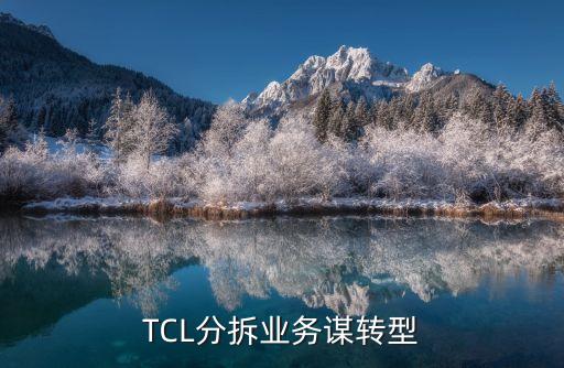 tcl公司企業(yè)愿景,公司的企業(yè)愿景怎么寫(xiě)