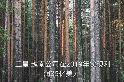  三星 越南公司在2019年實(shí)現(xiàn)利潤35億美元