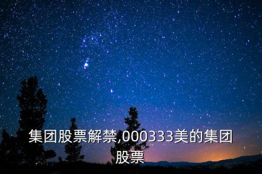 美的集團(tuán)股票解禁,000333美的集團(tuán)股票