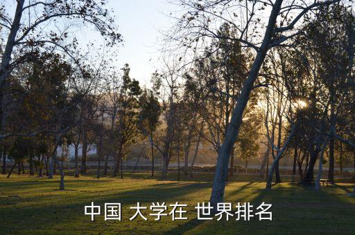 中國 大學(xué)在 世界排名