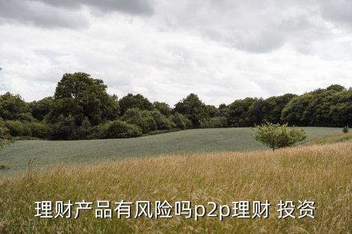 理財(cái)產(chǎn)品有風(fēng)險嗎p2p理財(cái) 投資