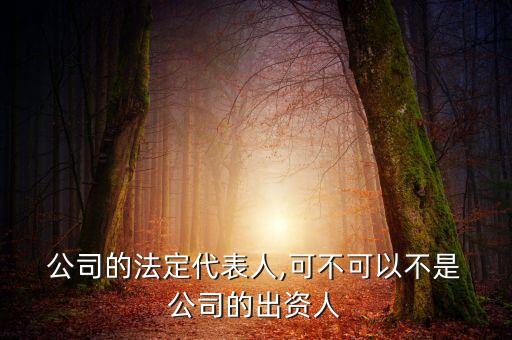  公司的法定代表人,可不可以不是 公司的出資人