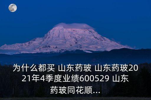 為什么都買 山東藥玻 山東藥玻2021年4季度業(yè)績600529 山東藥玻同花順...