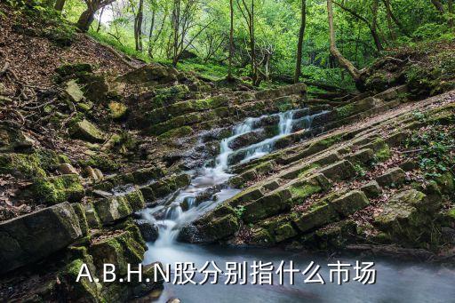 A.B.H.N股分別指什么市場(chǎng)