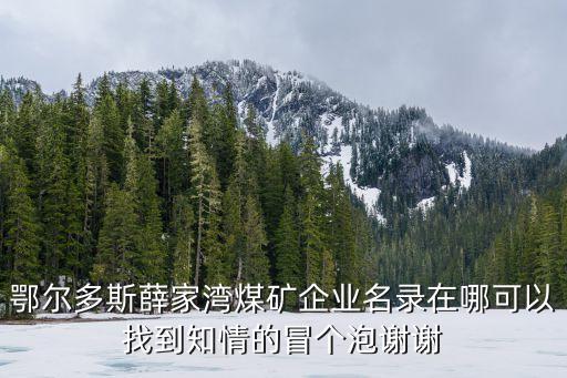 鄂爾多斯薛家灣煤礦企業(yè)名錄在哪可以找到知情的冒個(gè)泡謝謝