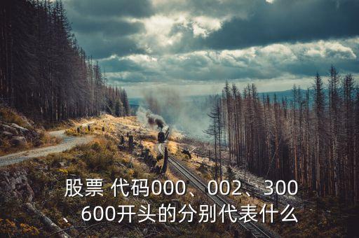  股票 代碼000、002、300、600開頭的分別代表什么