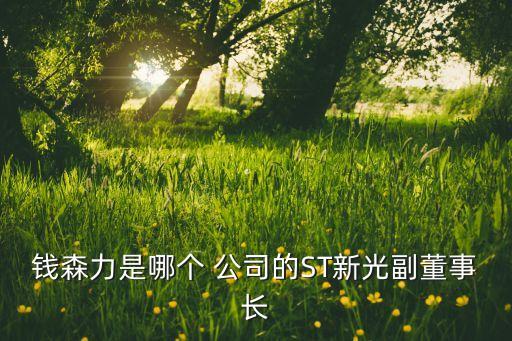 錢森力是哪個(gè) 公司的ST新光副董事長(zhǎng)