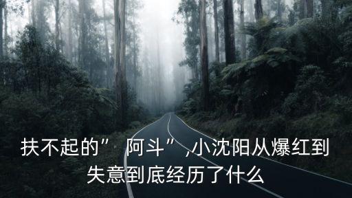 中國奶業(yè)扶不起的阿斗