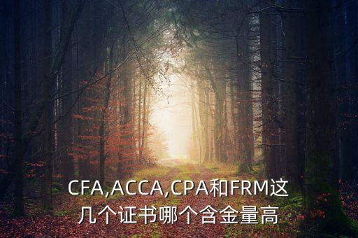 CFA,ACCA,CPA和FRM這幾個(gè)證書哪個(gè)含金量高