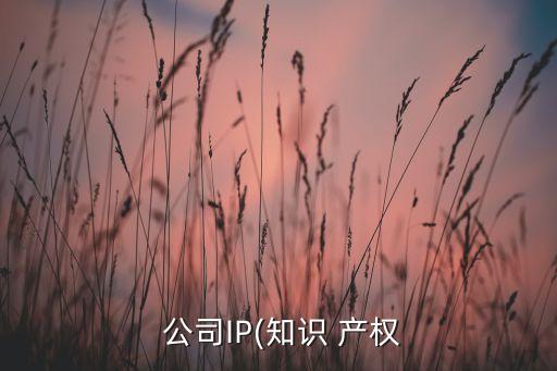  公司IP(知識(shí) 產(chǎn)權(quán)