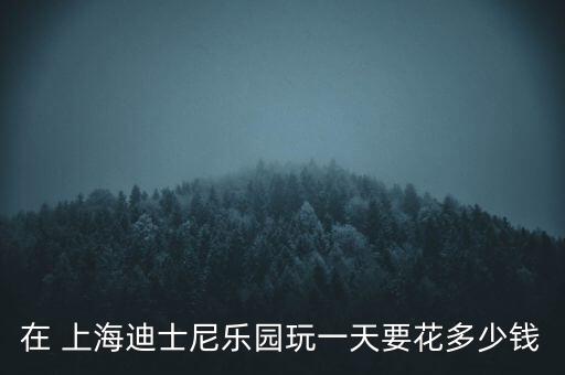 上海的迪斯尼貴嗎,上海迪士尼天氣預(yù)報