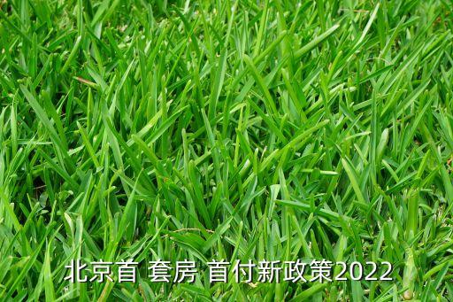  北京首 套房 首付新政策2022