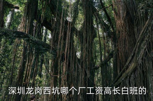  深圳龍崗西坑哪個(gè)廠工資高長白班的