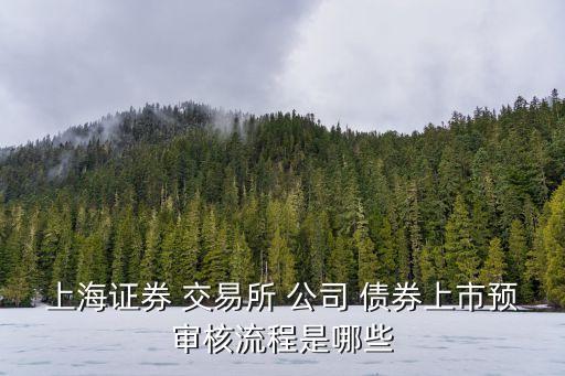 上海證券 交易所 公司 債券上市預審核流程是哪些