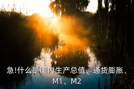 急!什么是國內(nèi)生產(chǎn)總值、通貨膨脹、M1、M2