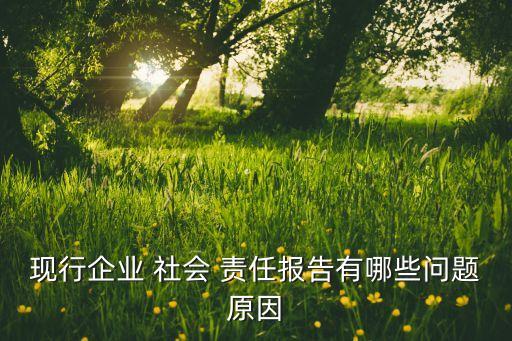 現(xiàn)行企業(yè) 社會(huì) 責(zé)任報(bào)告有哪些問(wèn)題原因