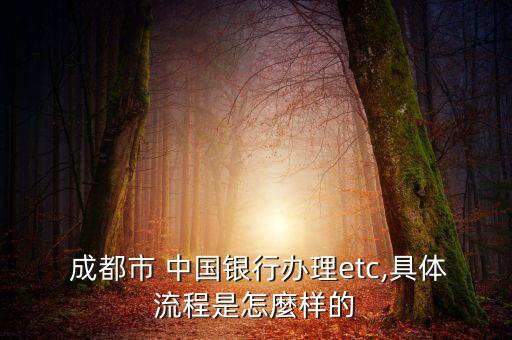  成都市 中國銀行辦理etc,具體流程是怎麼樣的