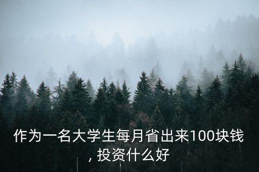 100元干什么投資,現(xiàn)在投資100萬能干什么?