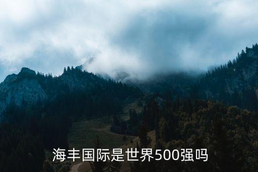  海豐國際是世界500強嗎