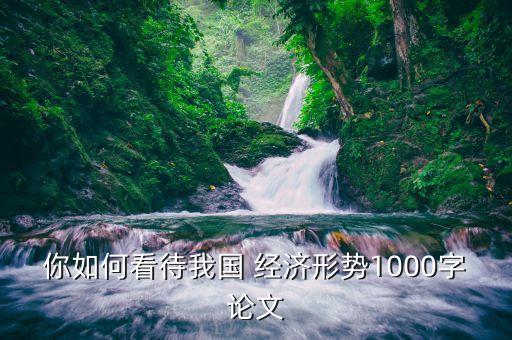 你如何看待我國(guó) 經(jīng)濟(jì)形勢(shì)1000字論文