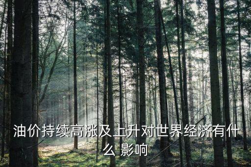  油價持續(xù)高漲及上升對世界經(jīng)濟有什么 影響