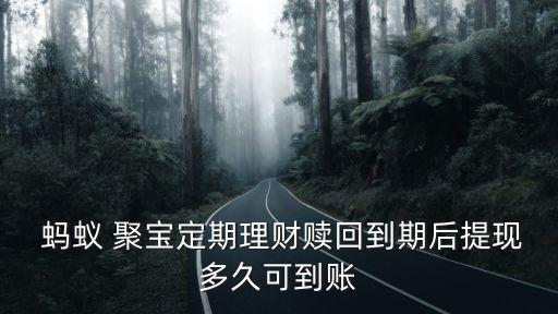  螞蟻 聚寶定期理財(cái)贖回到期后提現(xiàn)多久可到賬