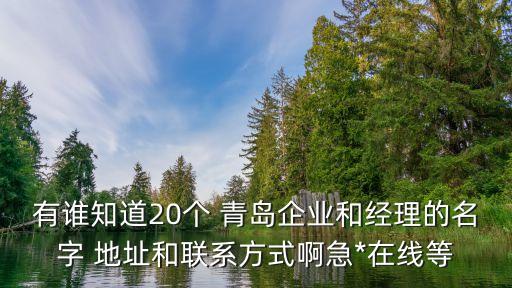 有誰(shuí)知道20個(gè) 青島企業(yè)和經(jīng)理的名字 地址和聯(lián)系方式啊急*在線等