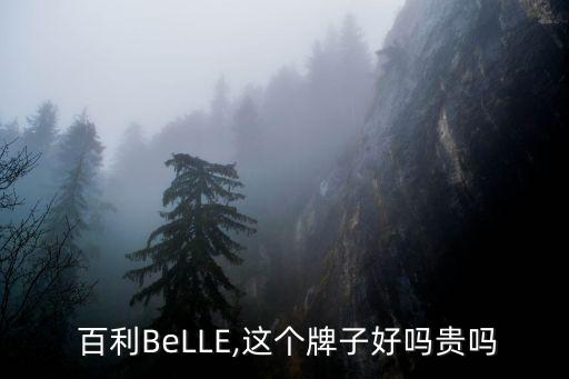  百利BeLLE,這個牌子好嗎貴嗎