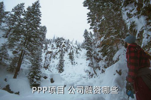 PPP項目 公司融資哪些