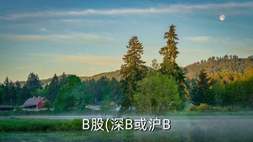 B股(深B或滬B