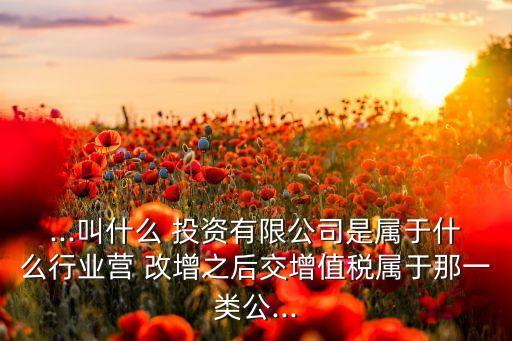 ...叫什么 投資有限公司是屬于什么行業(yè)營 改增之后交增值稅屬于那一類公...