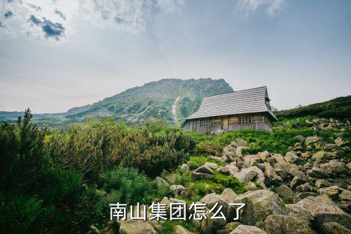 南山公司轉(zhuǎn)讓,南山診所轉(zhuǎn)讓最新消息