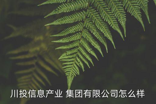 川投信息產(chǎn)業(yè) 集團有限公司怎么樣